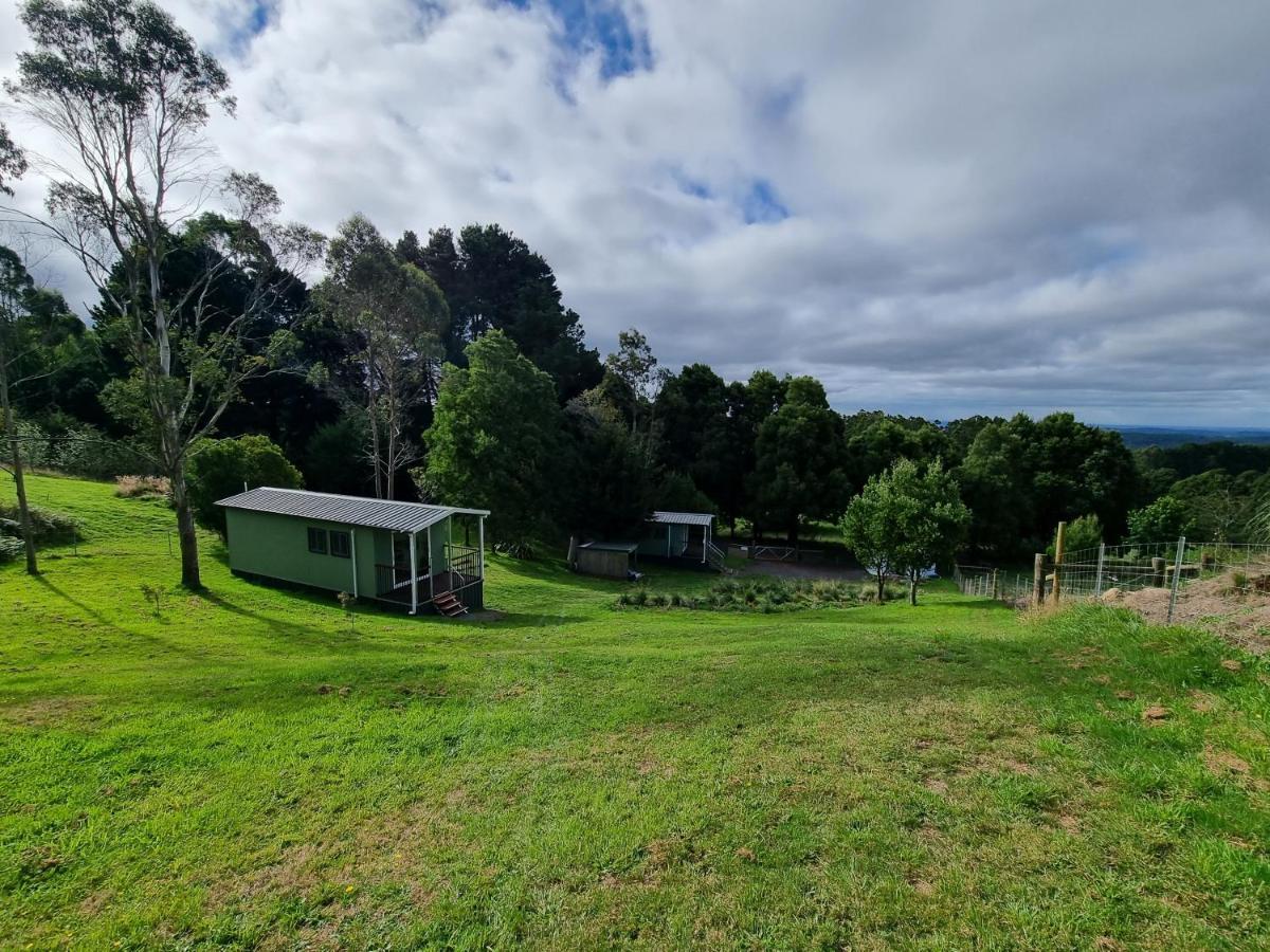 Cozy Otways Accommodation Beech Forest Bagian luar foto